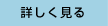 �ڂ����݂�